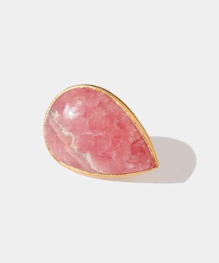 インカローズ – Fruitsjolie